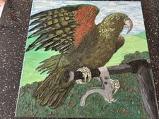 New Zealand Bird Painting
