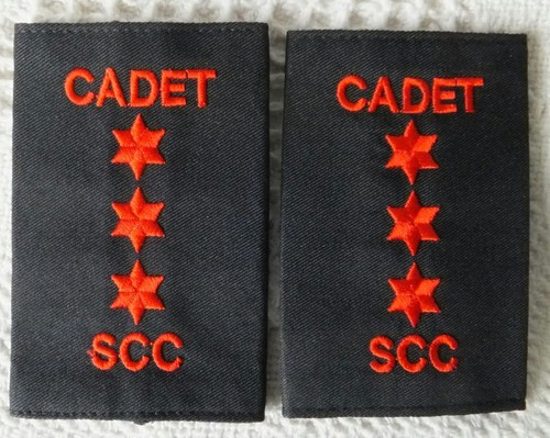 Sea cadet corps able - sea,