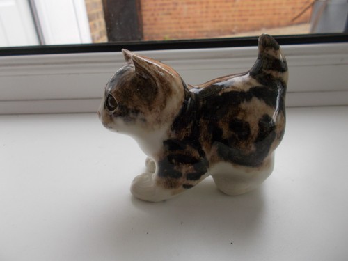 Winstanley tabby kitten size - size, 1