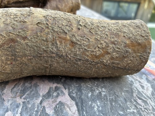 Woodturning blanks laburnum - blanks,