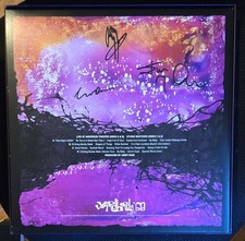 Jimmy Page Yardbirds SIGNED