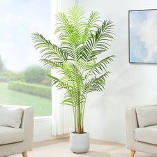 Artificial Palm Tree w/Plastic