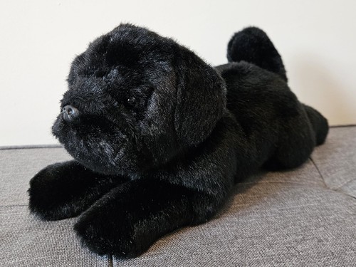 Suki black pug - dog, soft