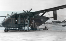 Short SC.7 Skyvan  - Royal Air Force of Oman - Original photo