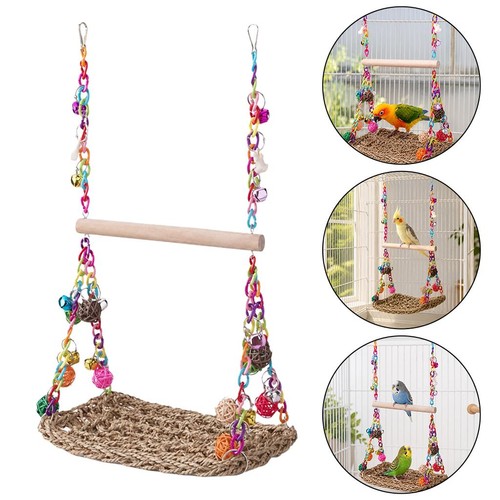 Parrot swing african grey - parrot,