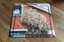 Daylight Savings by Surprise