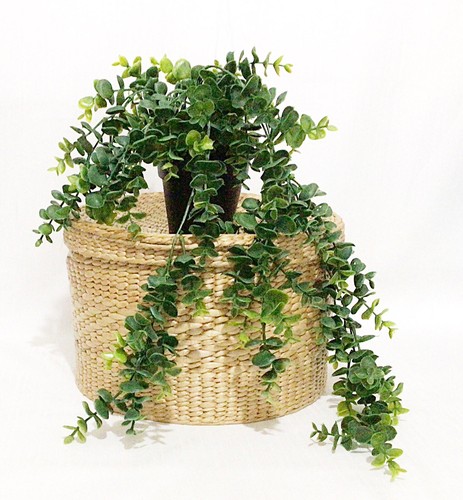 Artificial hanging plant - artificial, in