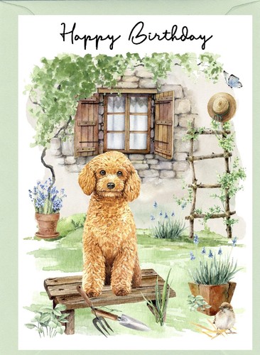 Poodle apricot dog - dog, 6")