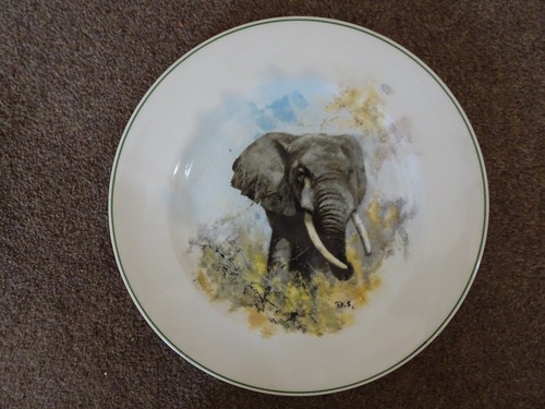 Wedgwood elephant plate david - wedgwood,