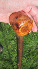 IRISH WEIGHTED BLACKTHORN SHILLELAGH WALKING STICK.640gm x 95cm.