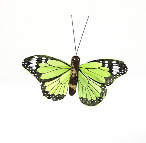 Hand painted dark - dark, butterflies