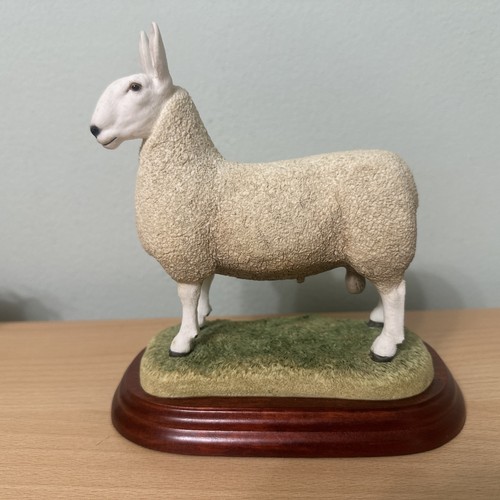 Border fine arts sheep breeds - fine,