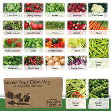 Vegetable Seeds UK Grow Your Own Indoor Outdoor Fresh Vegetables | 21 Varieties