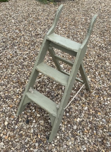 Small lichen green vintage - lichen,