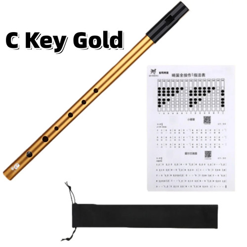 Irish tin whistle key - tin, c