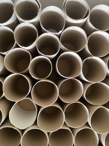 Empty toilet roll - 50,