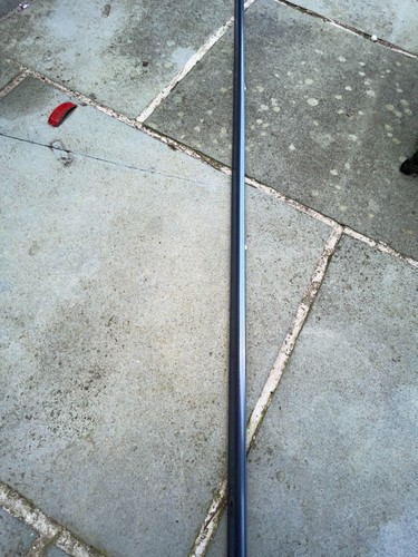 Drivers side door moulding - drivers,