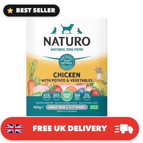 Adult dog chicken with - dog,