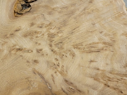 Timber scottish burr elm - burr,