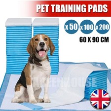 60x90CM Large Puppy Training