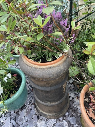 Victorian chimney pot - chimney,