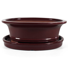 Red Bonsai Pot & Drip Tray |