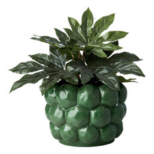 Large Green Clay Pot, Tall Chunky Rustic Green Bubble Pot, Fun Succulent Planter