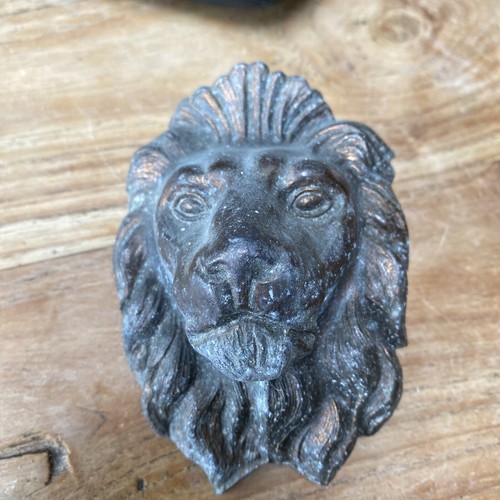 Vintage lion door accessory - door,