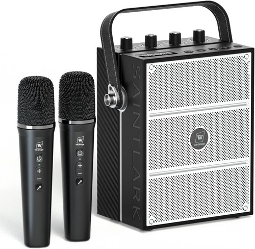 100w powerful voice - 100w, amplifier