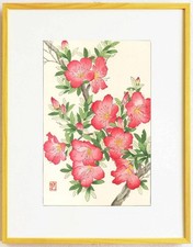 Y1105 framed by Yuichi Osuga