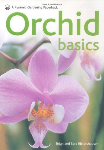 Orchid basics pyramid - orchid,
