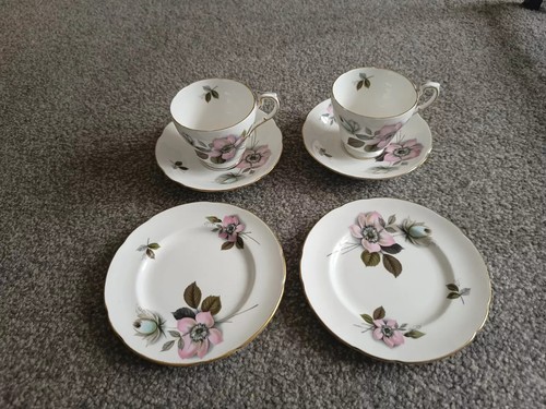 Paragon pompadour tea cup - x,