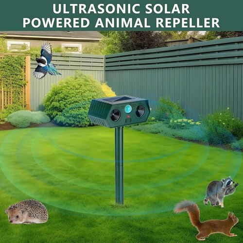 Ultrasonic cat dog fox - cat,