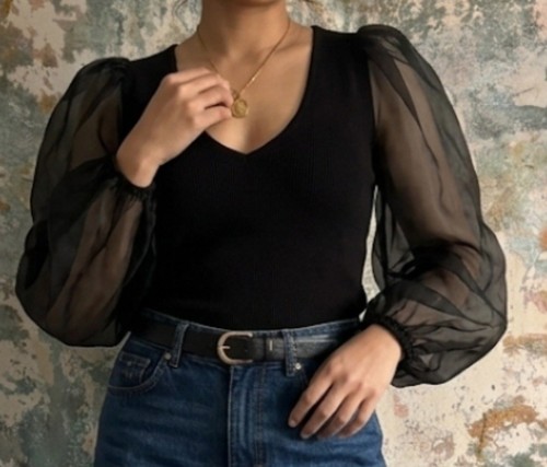 Zara black organza - zara, sheer