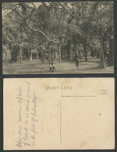 India old postcard - old,