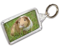 Guinea Pig Keyring Photo