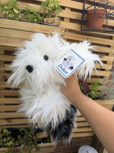Dulux dog puppy keel - dog, by