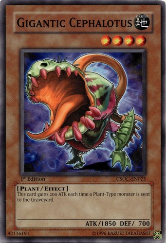Gigantic cephalotus csoc en025 - gigantic, csoc-en025