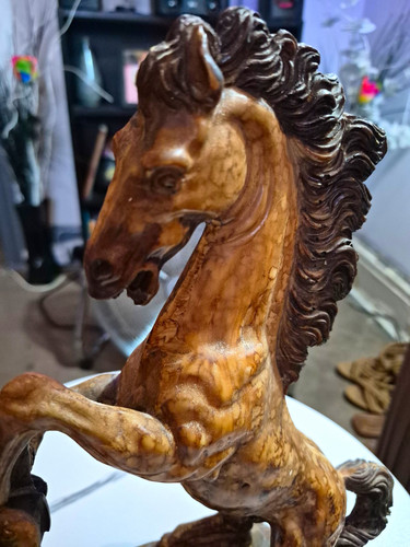 Giannetti rearing horse - rearing,