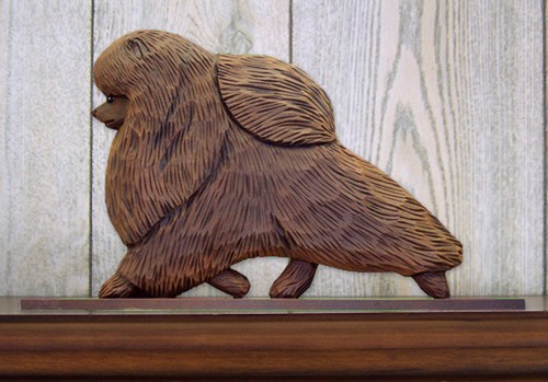 Pomeranian sign plaque - pomeranian,