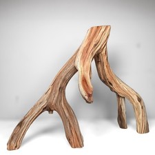 23.75" Manzanita Driftwood