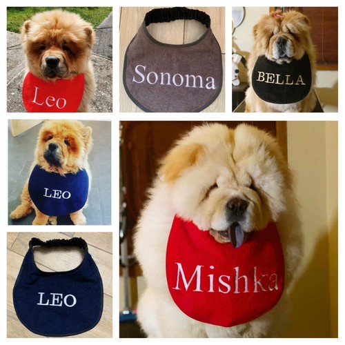 Chow slobber - /, bib