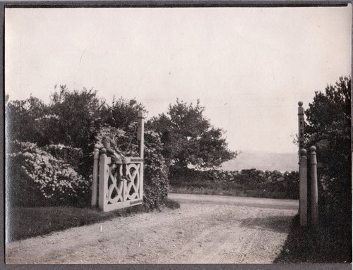Photograph boys huge gate - boys,
