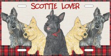 Scottish Terrier License