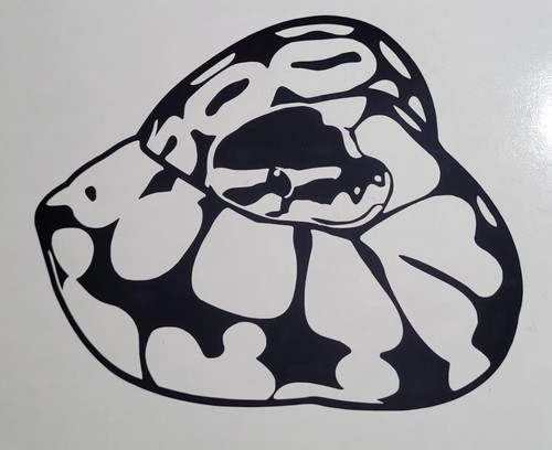 Python snake vinyl - python, sticker