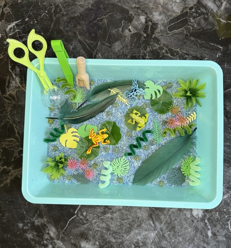 Fun frog themed - fun, tray