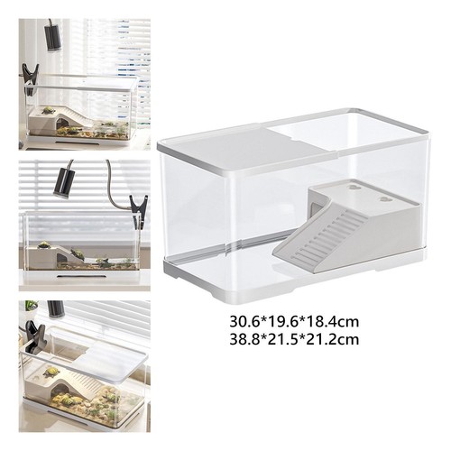 Turtle tank aquarium - turtle,