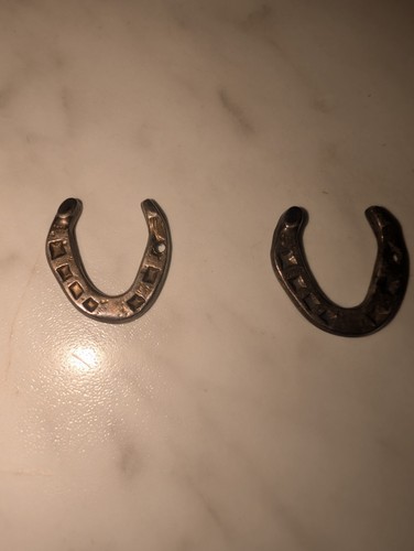 Good luck horse - good, silver