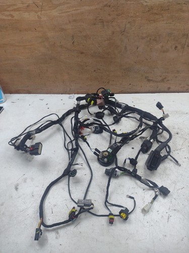 Aprilia rs4 wiring loom - loom, 2019