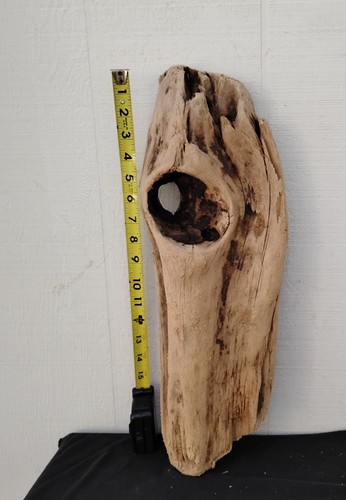 Driftwood with large - driftwood,